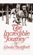 The Incredible Journey (eBook)