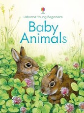 Young Beginners Baby Animals