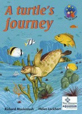 A Turtle's journey : Grade 3