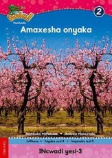 Amaxesha onyaka: Gr 2: Reader 3