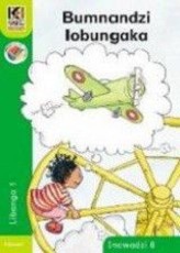 Bumnandzi lobungaka NCS: Gr 1: Big book 8