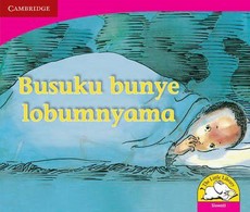 Busuku bunye lobumnyama (Siswati)