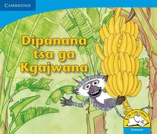 Dipanana tsa ga kgajwana : Gr R - 3: Big book