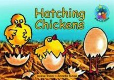 Hatching chickens : Grade 1