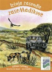 Izinja zasendle zase Madikwe