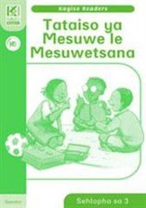 Kagiso Reader : Grade 2 : Teacher's Guide (NCS)