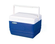 Totai 4,5L Cooler Box