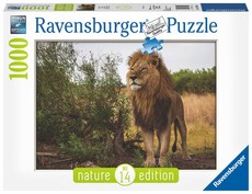 Ravensburger Nature Edition King of the Lions 1000 Piece Puzzle