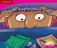 Ngabe kuphephile yini: Gr R - 3: Reader