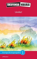 Reading is Easy: Umlilo! : Grade 5