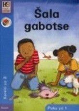 Sala gabotse NCS: Gr 3: Big book 1