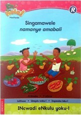 Singamawele namanye amabali: Gr R: Big book 1