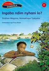 Siyakhula: Gr 6: Pack of 3 readers