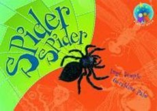 Spider, Spider : Grade 2