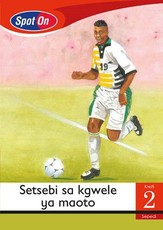 Spot On Sepedi Grade 2 Big Book: Setsebi sa kgwele ya maoto : Grade 2