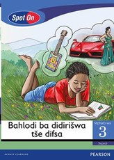 Spot On Sepedi Grade 3 Big Book: Bahlodi ba didirišwa tše diswa : Grade 3