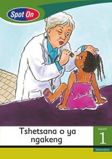 Spot On Setswana Grade 1 Big Book: Tshetsana o ya ngakeng : Grade 1