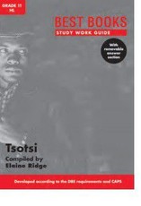 Study Work Guide: Tsotsi : Graad 11