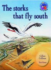 The Storks that fly South (NCS) : Grade 7