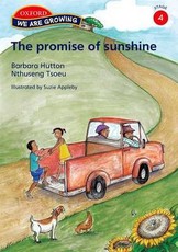 The The Promise of Sunshine: The promise of sunshine Reader Stage 4