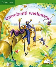 Umsebenti wetimfene : Gr R - 3: Big book