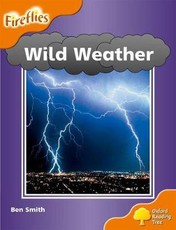 Wild Weather: Wild weather : Stage 6 : Big book Big Book Stage 6