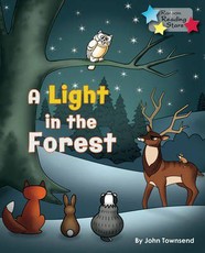 A Light in the Forest