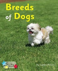 Breeds of Dogs 6-Pack