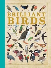 Brilliant Birds