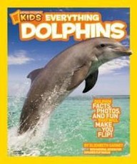 Everything Dolphins