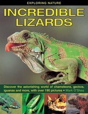 Exploring Nature: Incredible Lizards