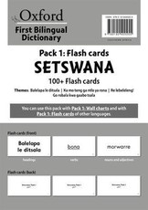 First bilingual dictionaries: Pack 1: 100+ Flash cards