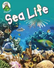 Froglets: Learners: Sea Life