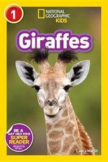 Giraffes