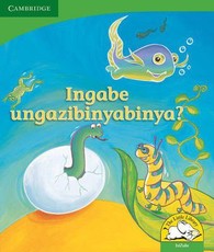 Ingabe ungazibinyabinya Ingabe ungazibinyabinya