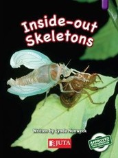 Inside-out Skeletons: Gr 5 Purple