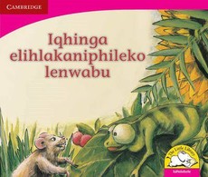 Iqhinga elihlakaniphileko lenwabu (IsiNdebele)