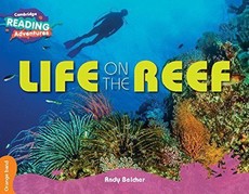 Life on the Reef Orange Band