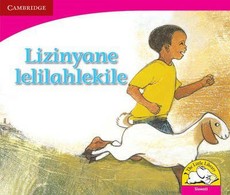 Lizinyane lelilahlekile