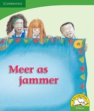 Meer as jammer