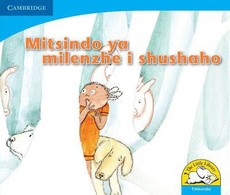 Mitsindo ya milenzhe i shushaho