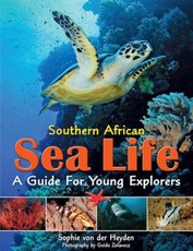 Southern African sea life