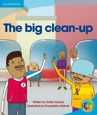 The Big Clean-up