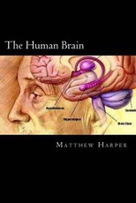 The Human Brain: A Fascinating Book Containing Human Brain Facts, Trivia, Images & Memory Recall Quiz: Suitable for Adults & Children