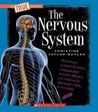 The Nervous System