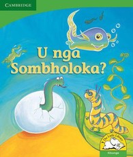 U Nga soholoka