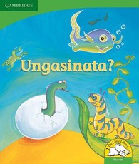 Ungasinata (Siswati)