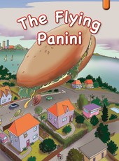 The flying panini