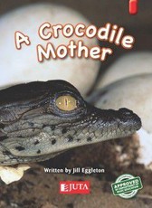 A Crocodile Mother