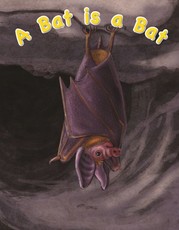 Bat is a Bat: Gr 2: Big Book